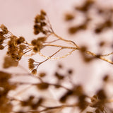 Charmed: One for Luck Necklace