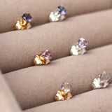 Brazillian Amethyst Stud