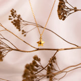 Charmed: Fallen Star Necklace