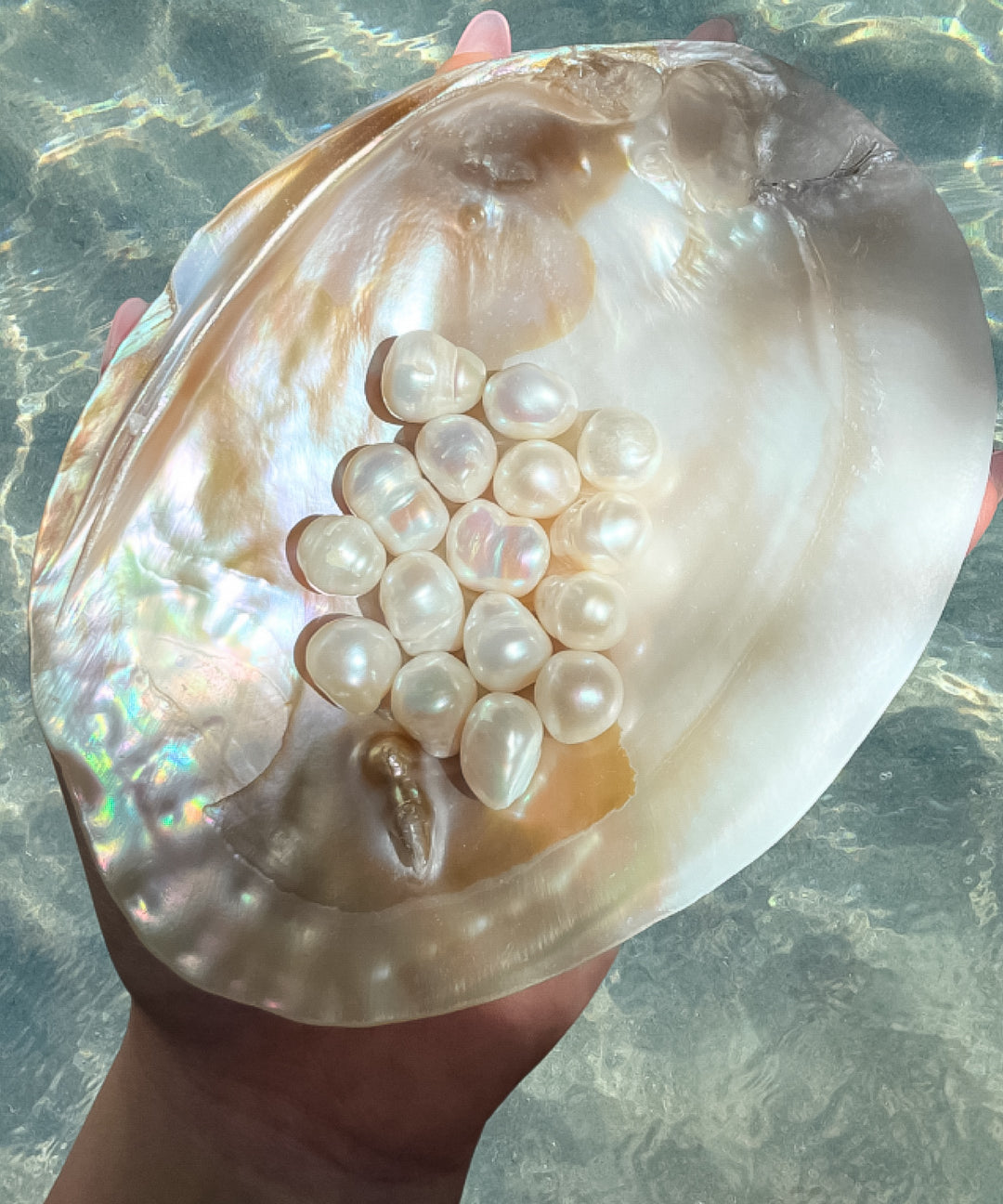Pearls of different shapes and sizes in a mother of pearl shell above the ocean.